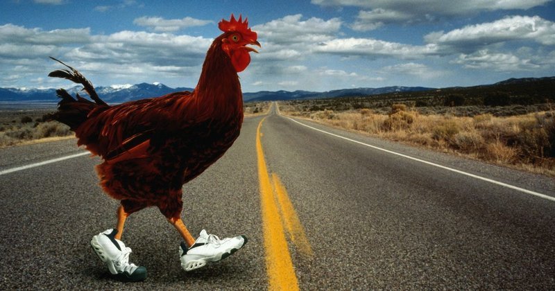 Chicken road, chicken road oficial Chicken road, chicken road oficial